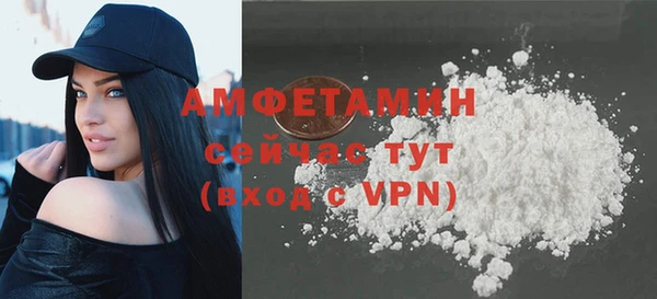 прущие грибы Инта