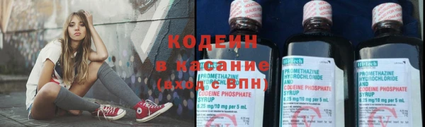 скорость Каменка