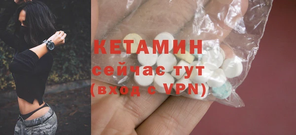 скорость Каменка
