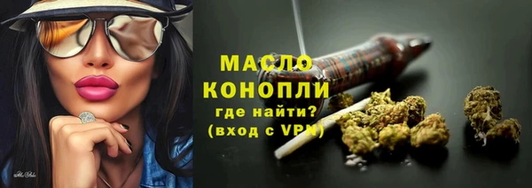 прущие грибы Инта