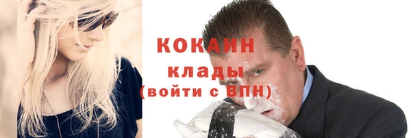 прущие грибы Инта