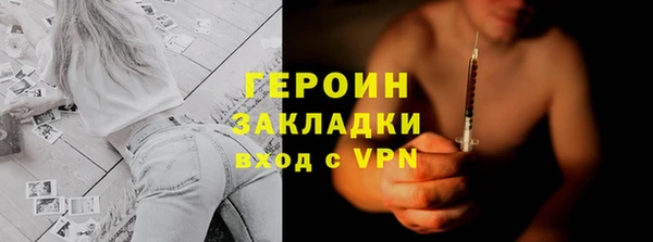 прущие грибы Инта