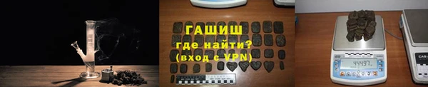прущие грибы Инта