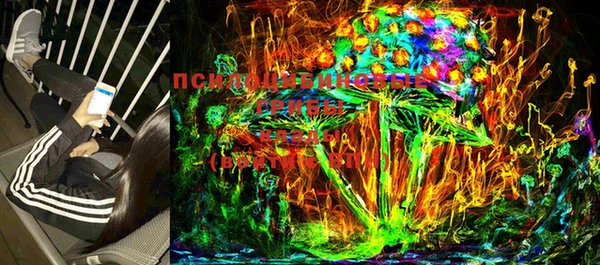 прущие грибы Инта