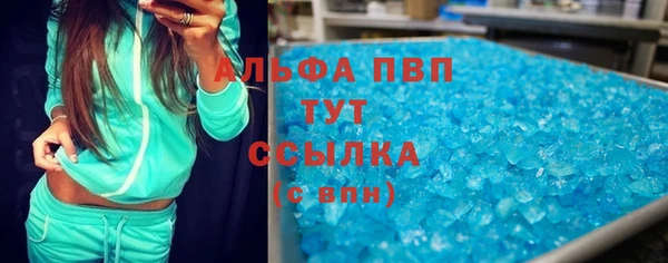 прущие грибы Инта