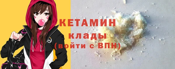прущие грибы Инта