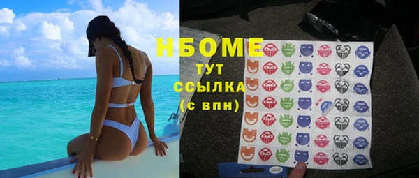 прущие грибы Инта