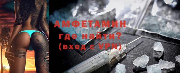 прущие грибы Инта